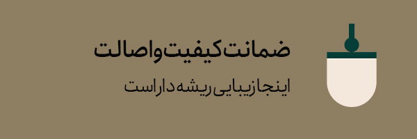 ویژگی-ضمانت